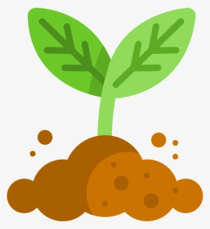 Growt Plant